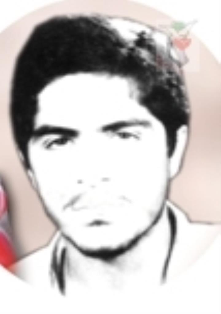 فاقد تصویر